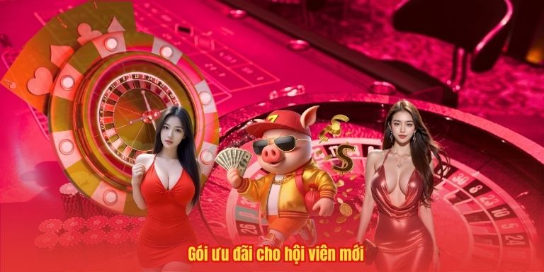 Gói ưu đãi cho hội viên mới