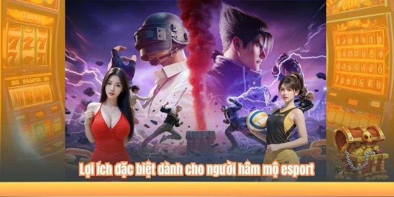 Lợi ích đặc biệt dành cho người hâm mộ esport