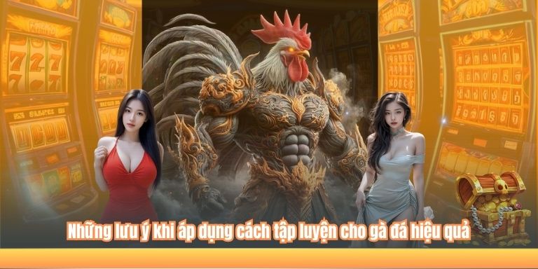 Top 4 Cách Tập Luyện Cho Gà Đá Được Sư Kê Tin Dùng Nhất 4 Những lưu ý khi áp dụng cách tập luyện cho gà đá hiệu quả