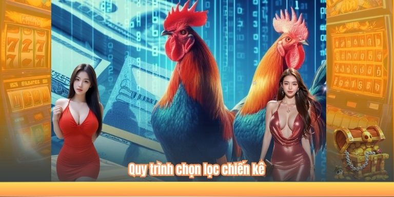 Quy trình chọn lọc chiến kê