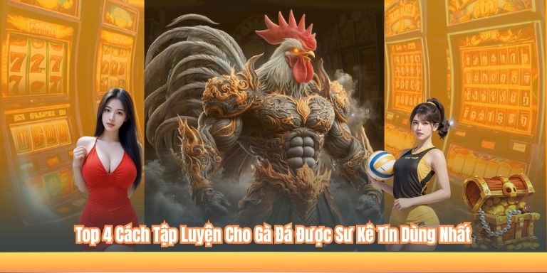 Top 4 Cách Tập Luyện Cho Gà Đá Được Sư Kê Tin Dùng Nhất