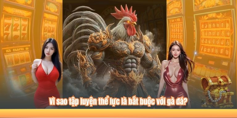 Top 4 Cách Tập Luyện Cho Gà Đá Được Sư Kê Tin Dùng Nhất 2 Vì sao tập luyện thể lực là bắt buộc với gà đá?