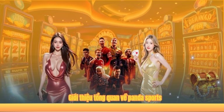 Giới thiệu tổng quan về panda sports
