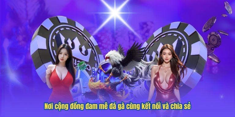 Nơi cộng đồng đam mê đá gà cùng kết nối và chia sẻ