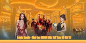 Panda Sports – Đỉnh Cao Kết Nối Giữa Thể Thao Và Giải Trí